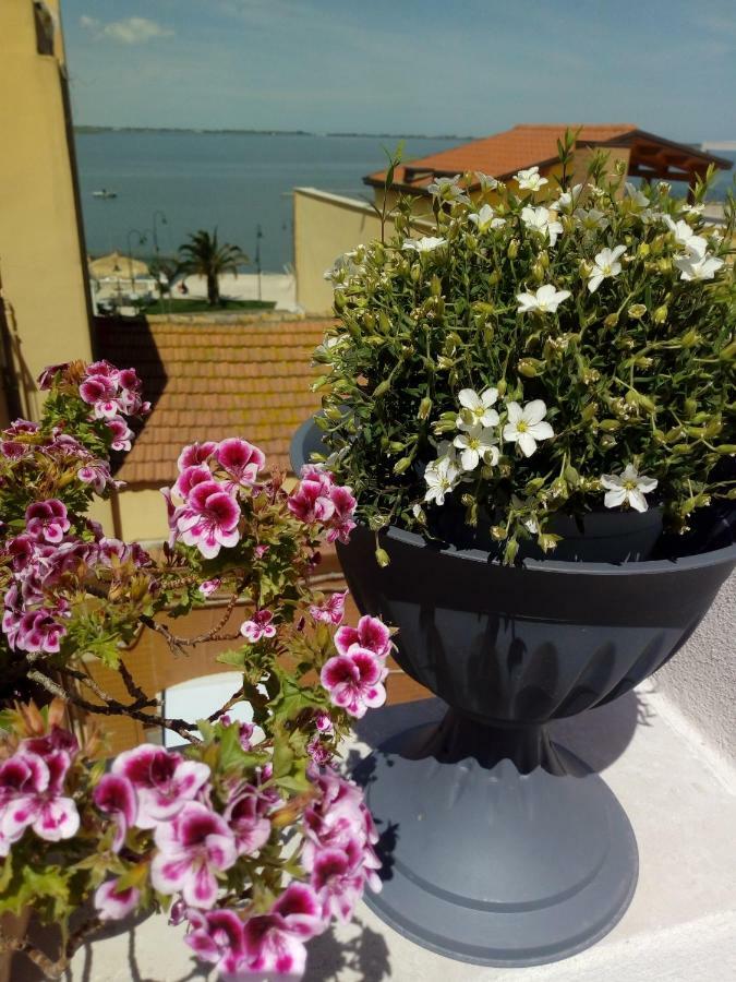 B&B La Felicita Lesina Ngoại thất bức ảnh